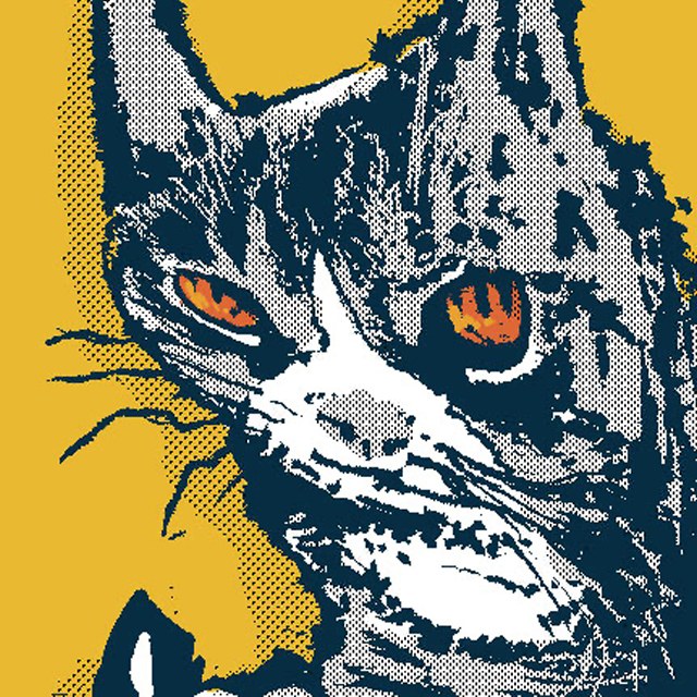ohmiau プロフィール写真